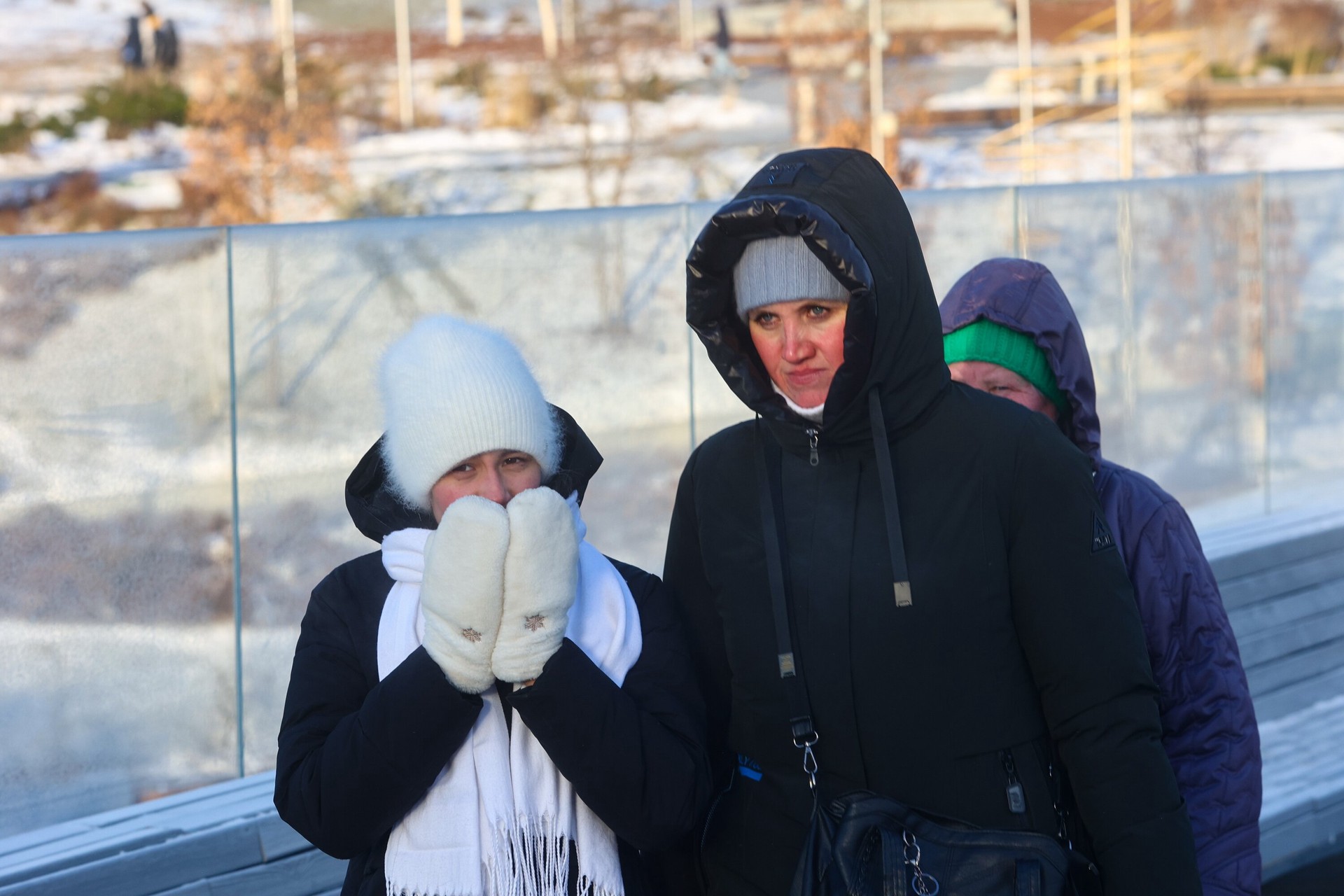 Синоптик Позднякова предупредила о морозах в Москве в конце февраля и марте 