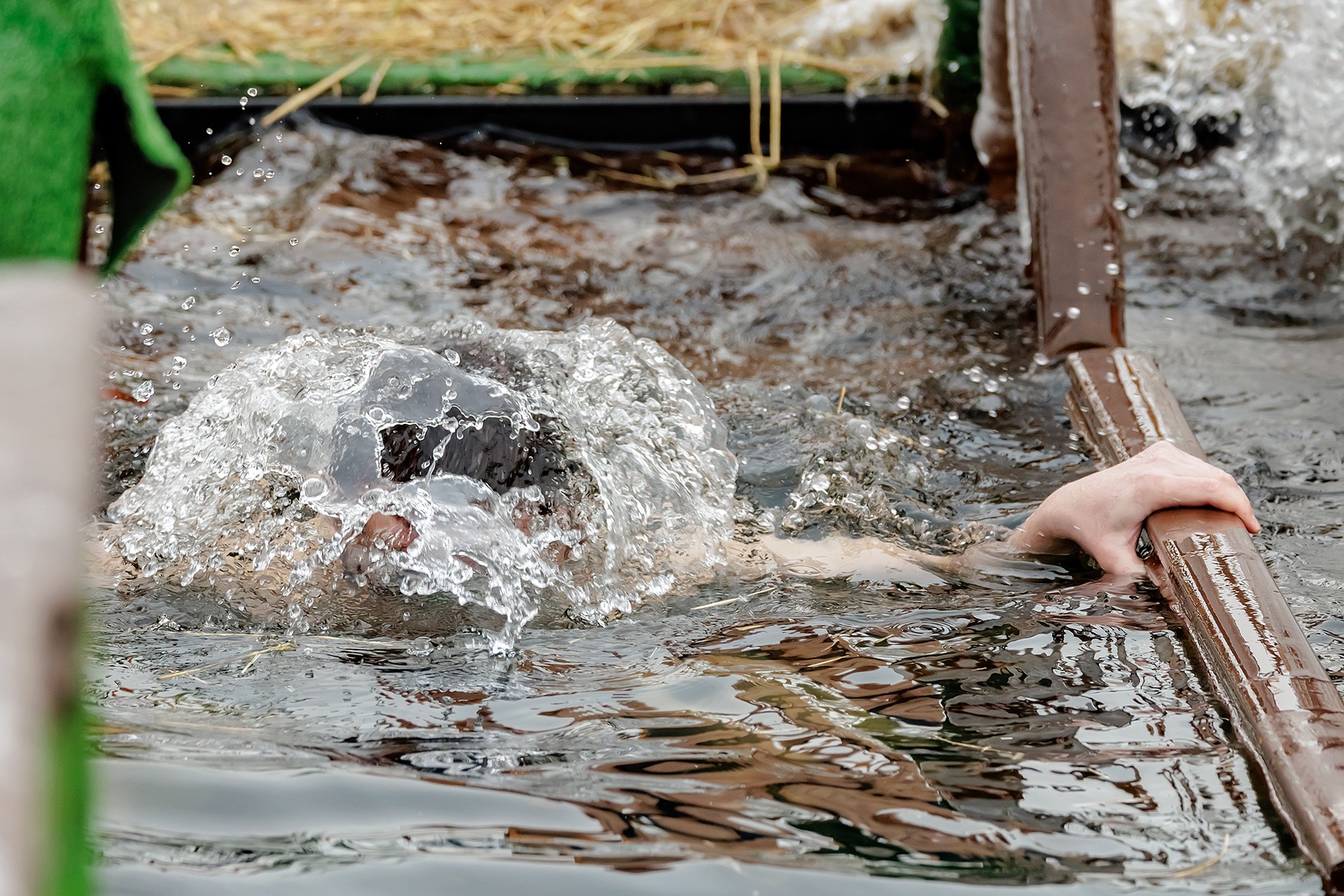 Зумеры превратили крещенские купания в экстрим-челлендж