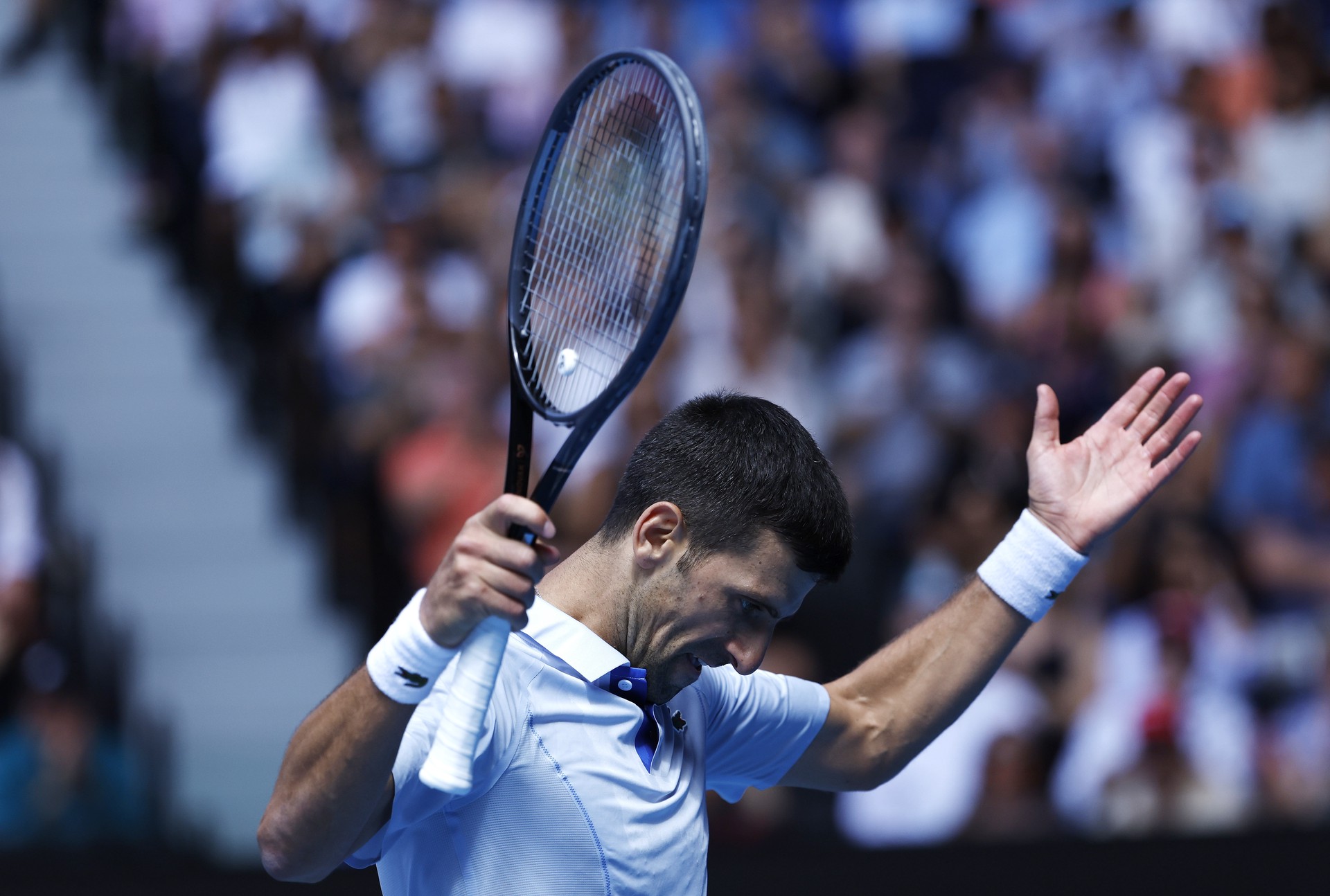 Новак Джокович впервые в карьере проиграл в полуфинале Australian Open