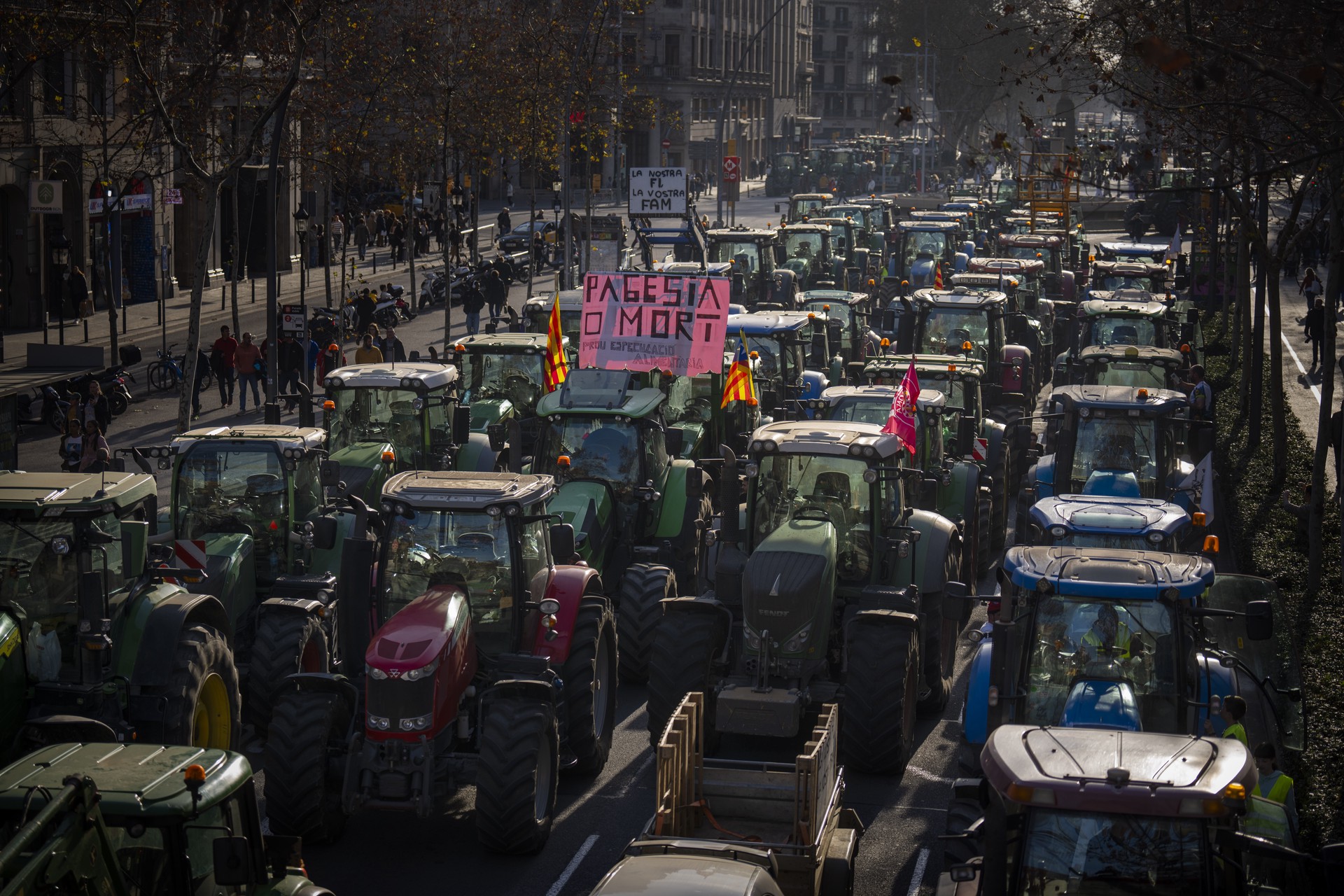 До Барселоны докатились: почему в Европе не утихают протесты фермеров
