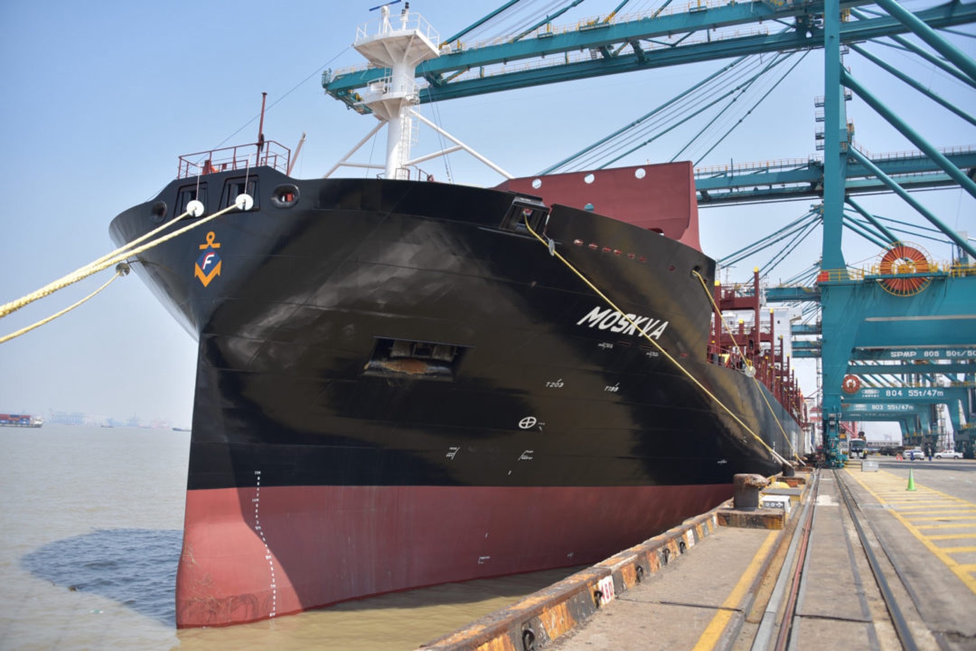 Эксперт назвала возможную причину отказа в обслуживании российского контейнеровоза в порту КНР