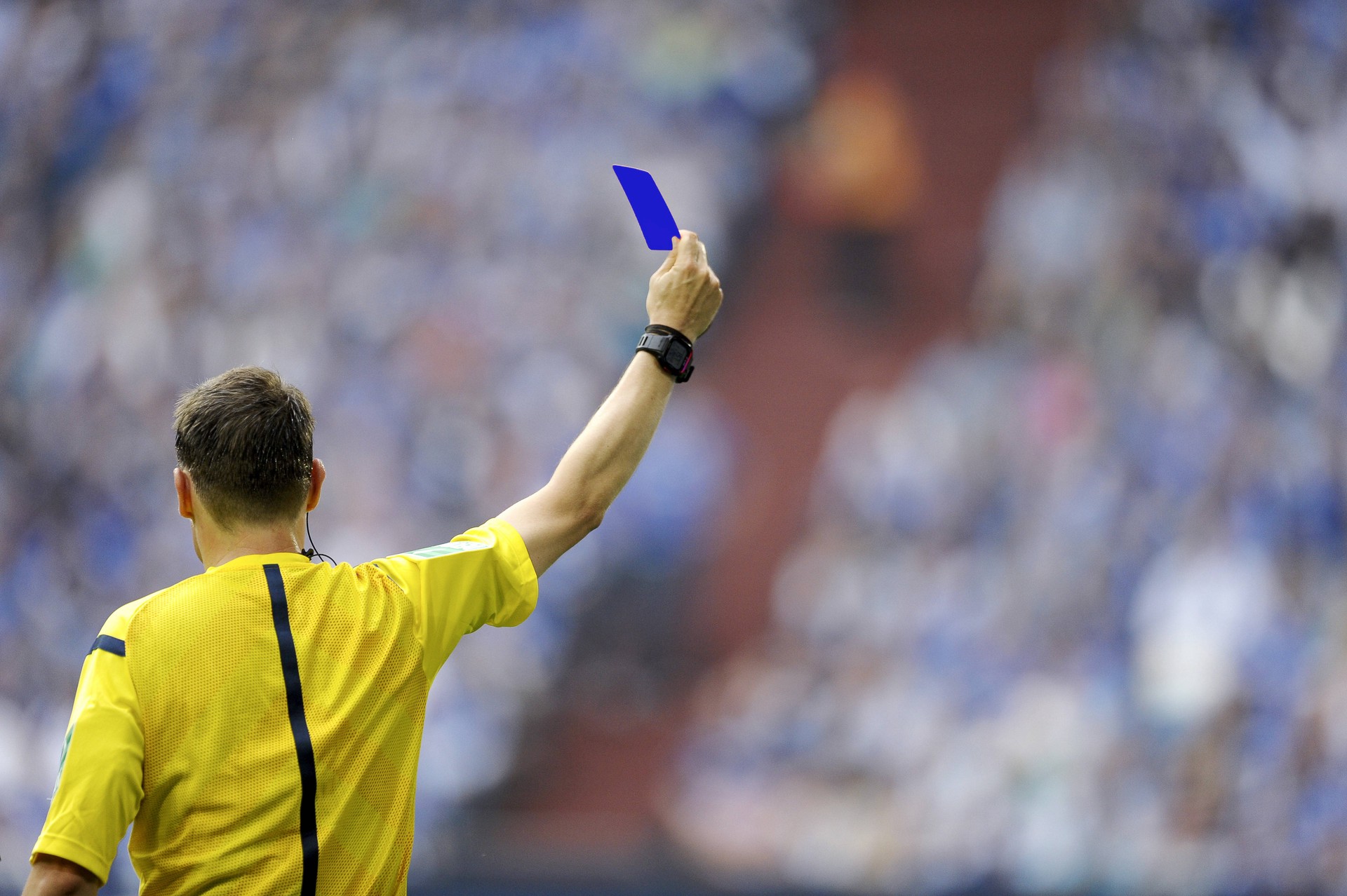 Украли у регби: почему синяя карточка в футболе может навредить РПЛ