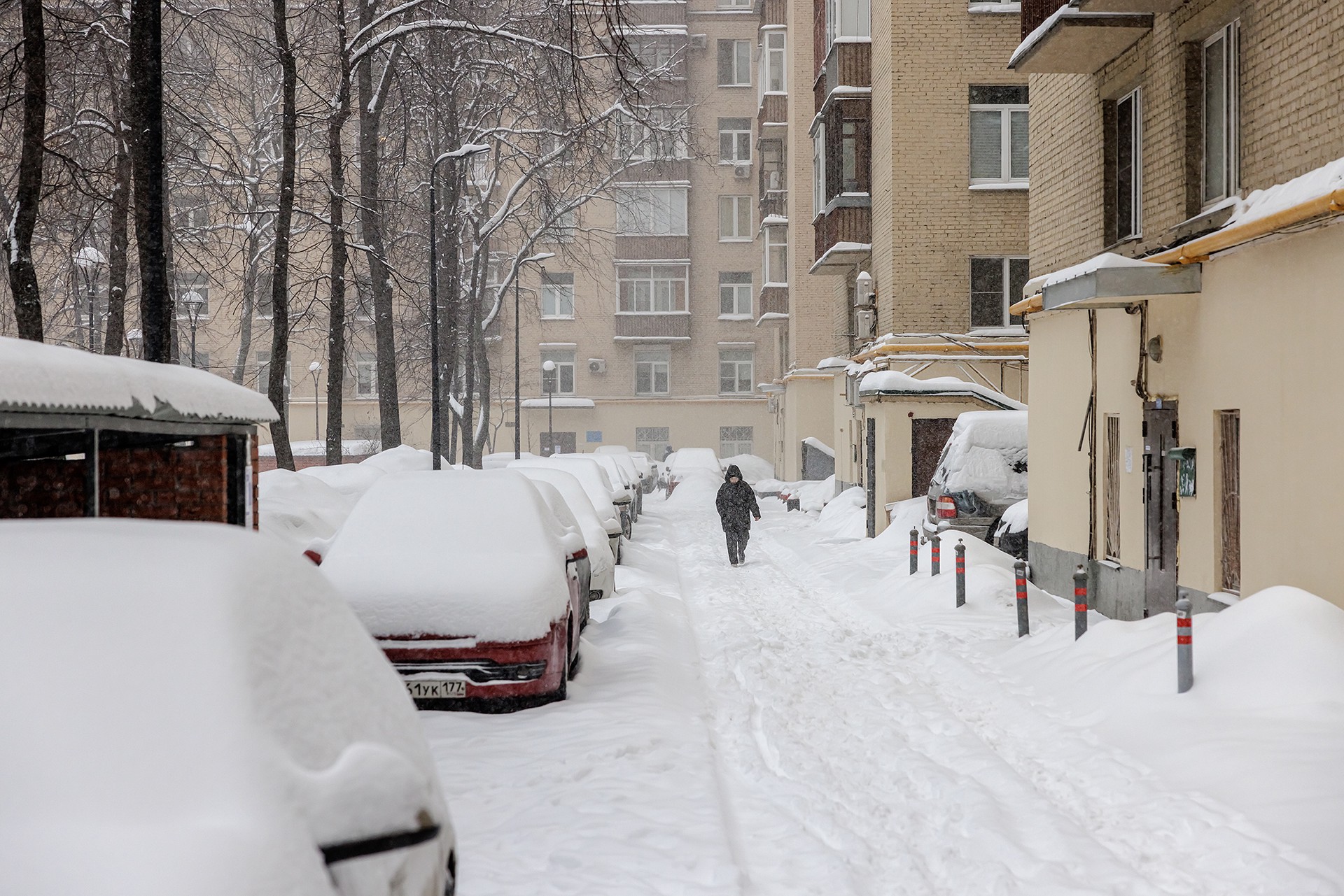 Москва в снежном плену: циклон «Фрэнсис» охватил столицу