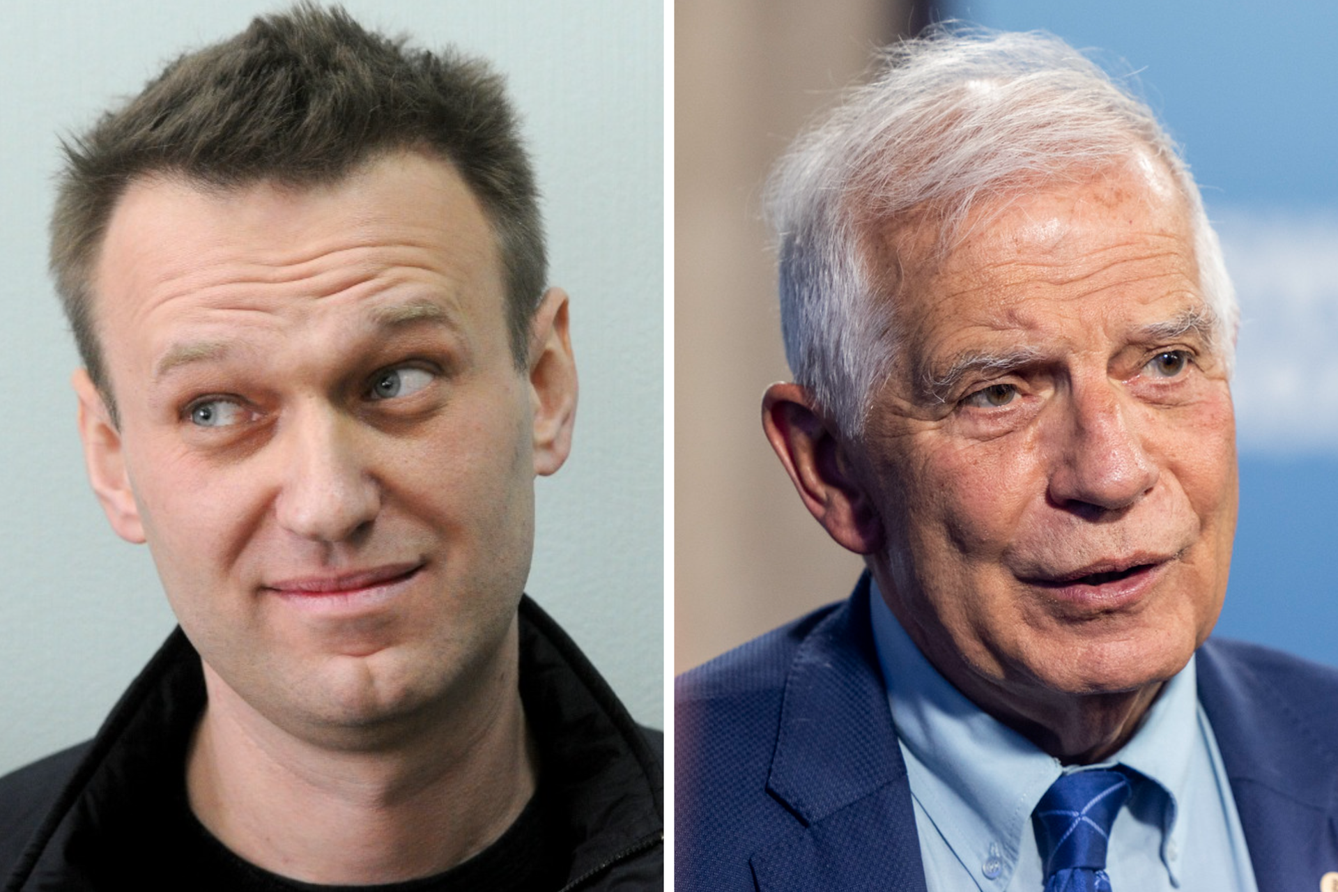 Боррель: ЕС назовёт санкционный режим по правам человека именем Навального*