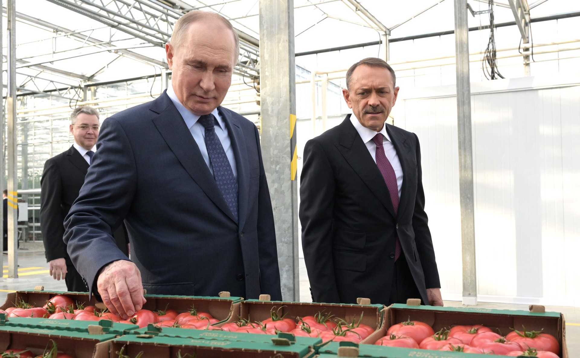 В Ставропольском крае Путину показали прототип робота-комбайна по сбору томатов