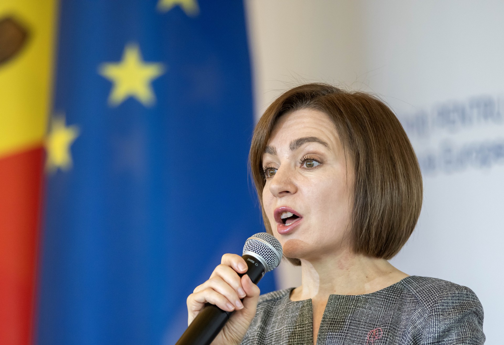 Сенатор Пушков: Санду выступает за поглощение Молдавии Румынией