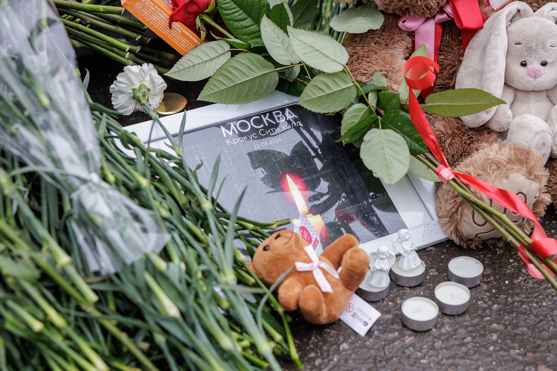 Экс-депутат Рады: Украина – концлагерь, где нельзя соболезновать пострадавшим в теракте в «Крокусе» 