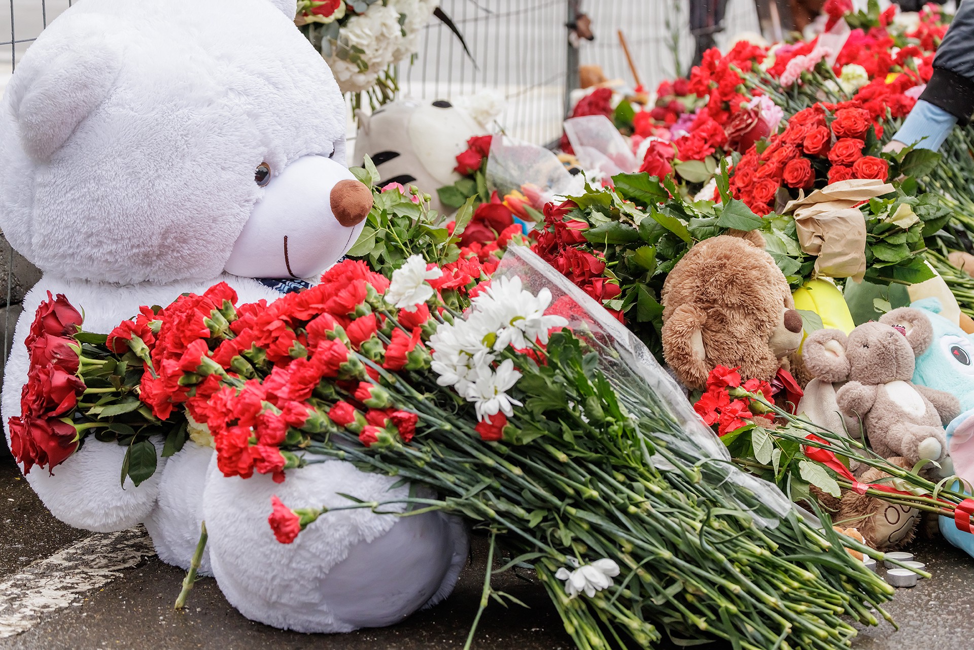 В Латвии запретили приносить цветы к посольству РФ в связи с терактом в Подмосковье