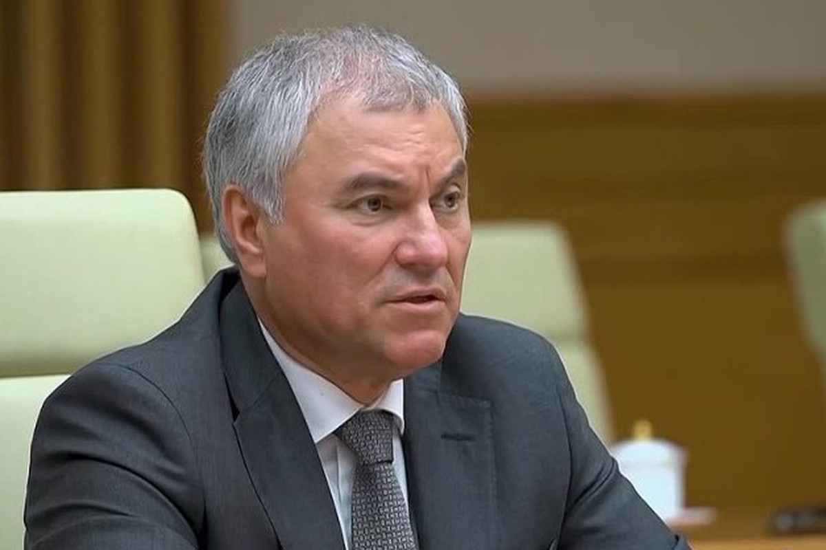 Володин: У России есть основания принять свои решения по зарубежным активам