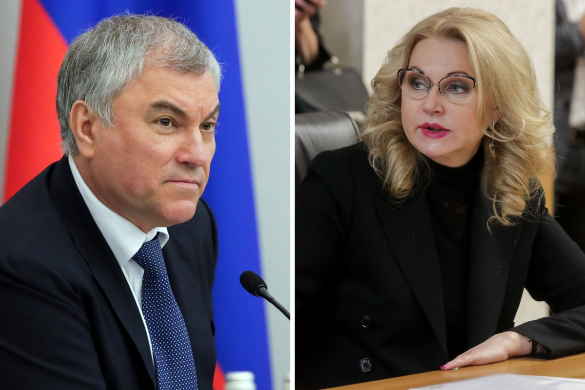 Володин предложил Голиковой определить министерство, которое будет ответственным за темы семьи