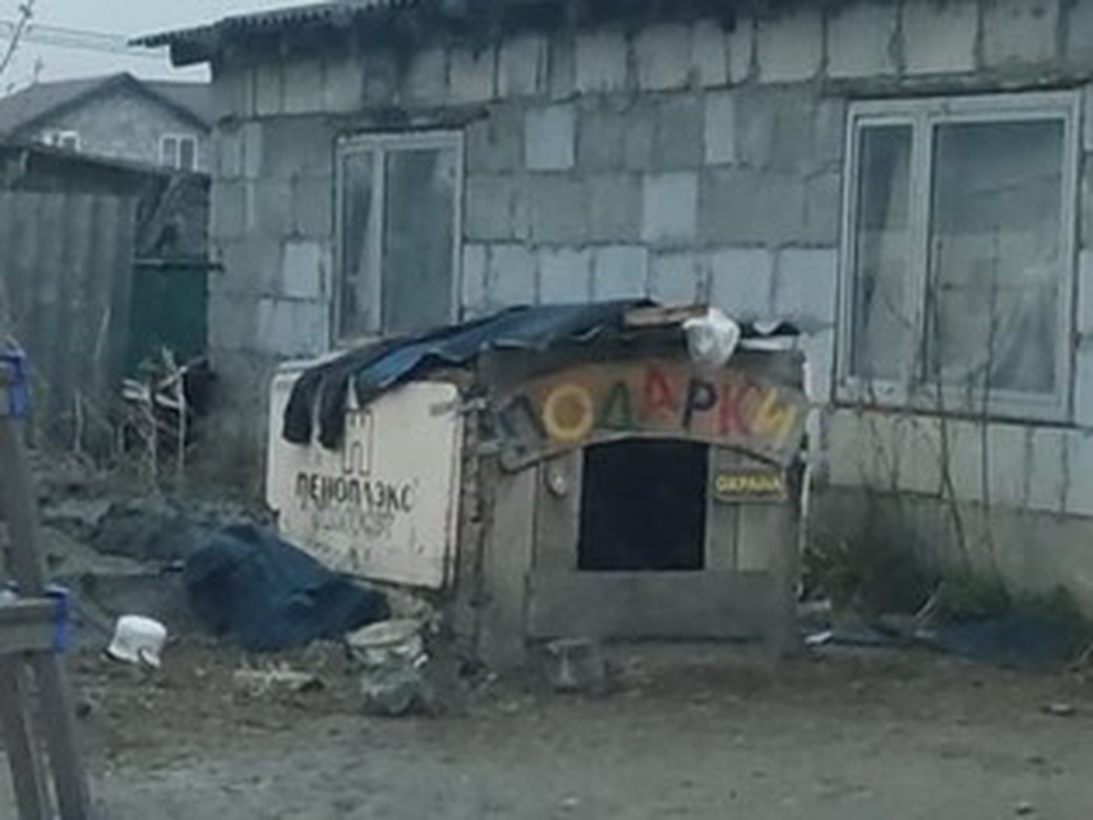 На Урале осуждённый попытался спрятаться от силовиков в собачьей будке