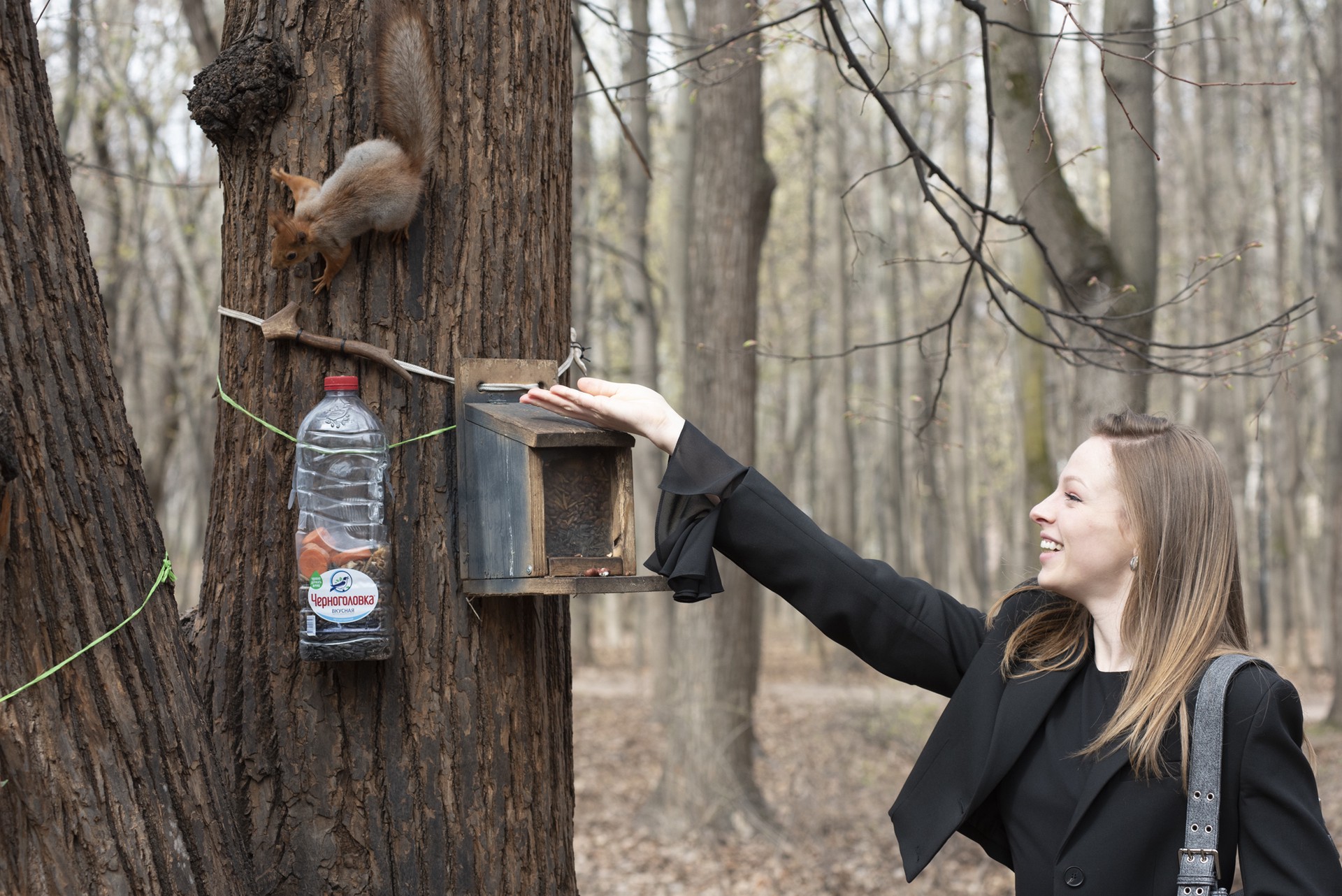 Россиянам напомнили о риске штрафа за кормление белок