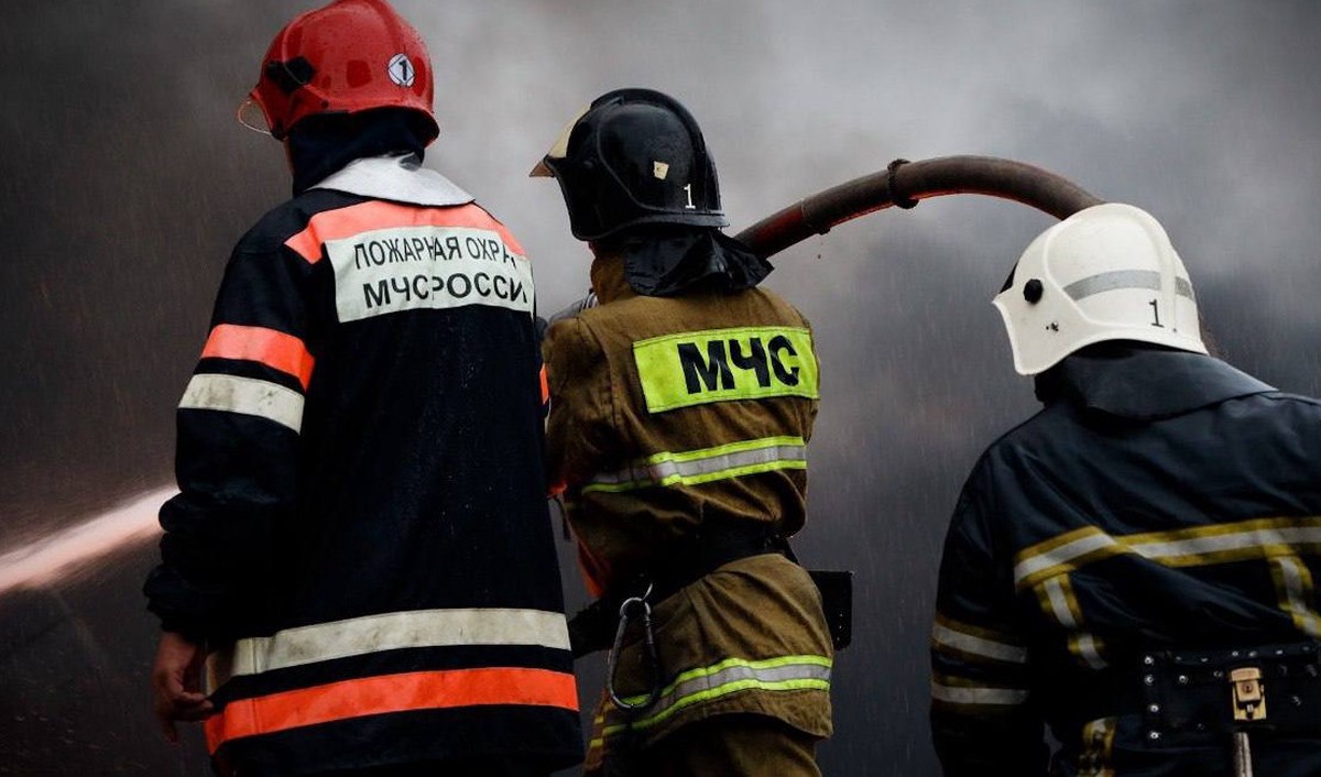 В Пскове при пожаре погибли 12 собак