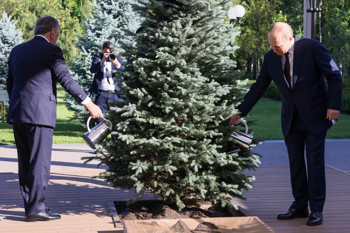 Путин и Мирзиёев посадили ель на Аллее почётных гостей