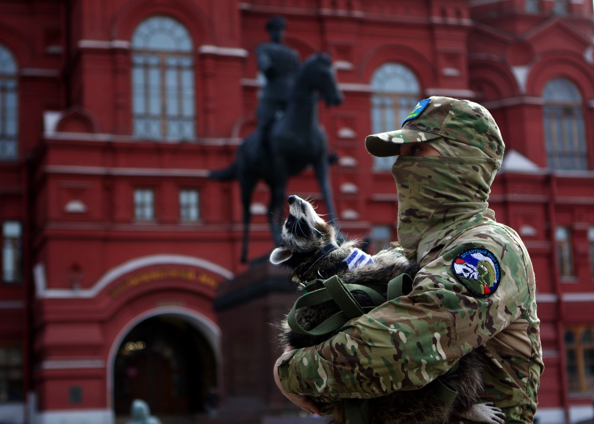 Енот Херсон переехал в Москву и продолжил помогать фронту