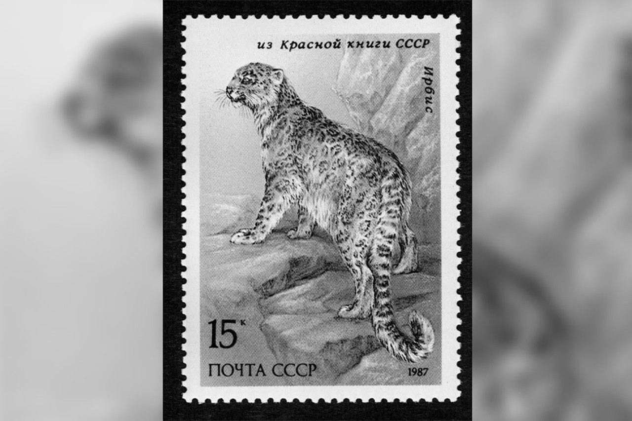 Фото @ ТАСС / 1 июня 1987 г. Почтовая марка из серии «Фауна СССР» с изображением редкого млекопитающего из Красной книги СССР ирбиса (снежного барса)