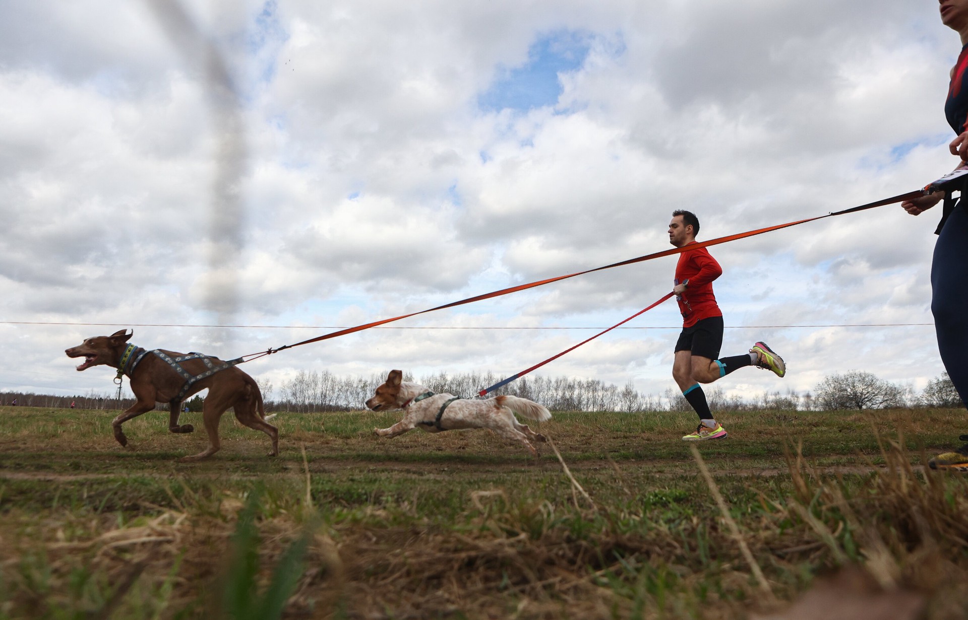 Кинолог рассказал о топ-5 спортивных породах собак для активного времяпровождения
