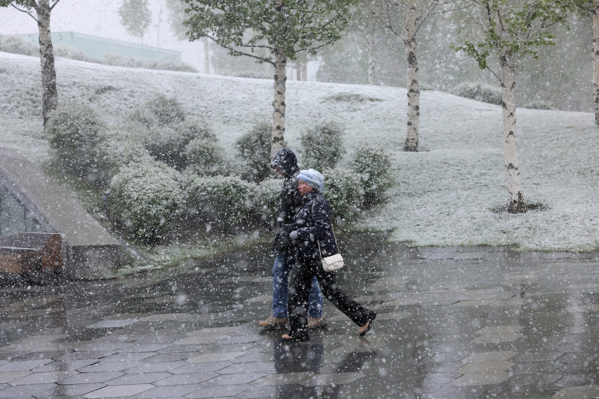 Климатолог предупредил о последствиях возможного разрушения Гольфстрима