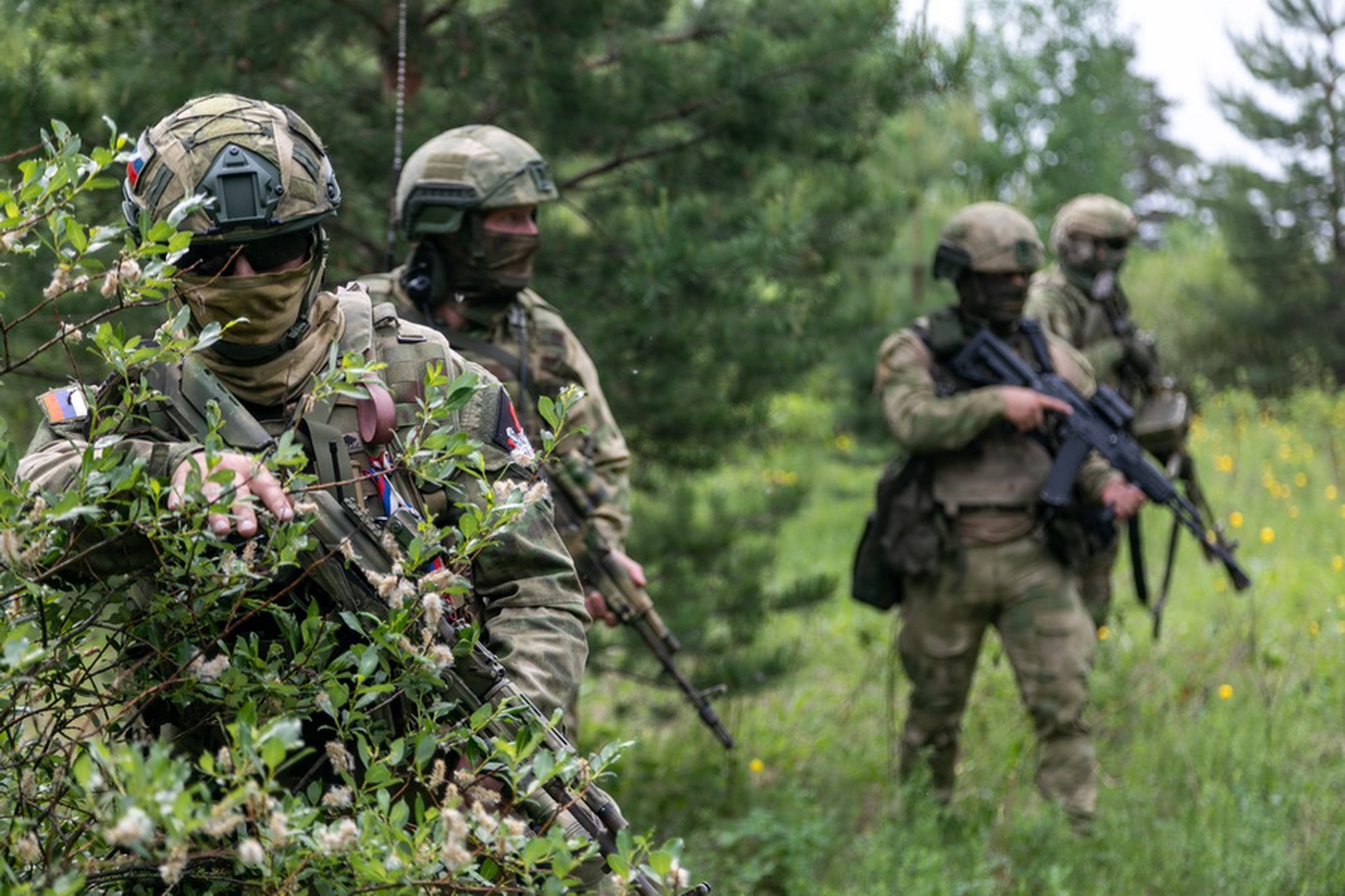 Эксперт раскрыл детали создания буферной зоны на границе с Украиной