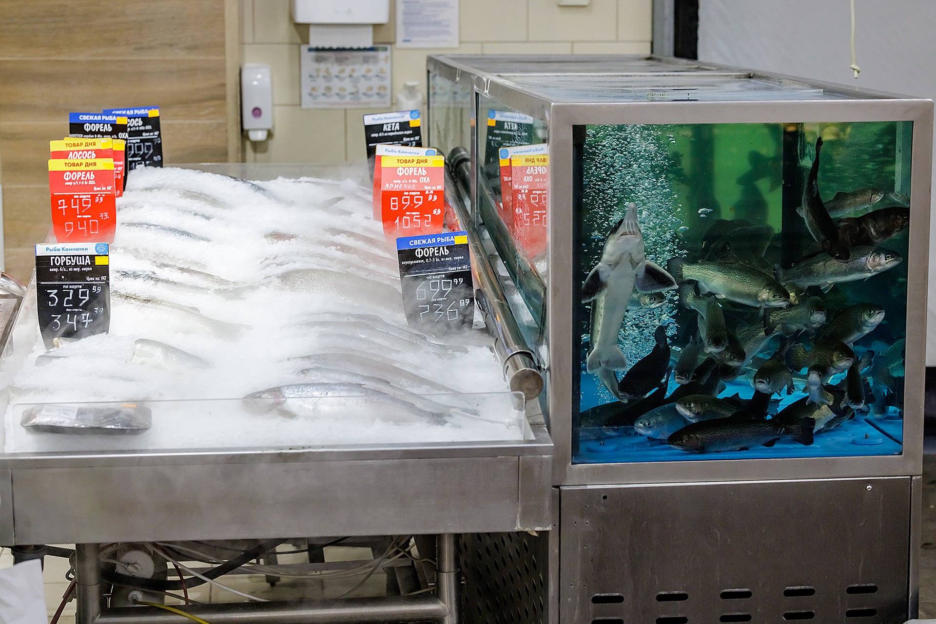 В Рыбном союзе назвали причины роста цен на минтай в России