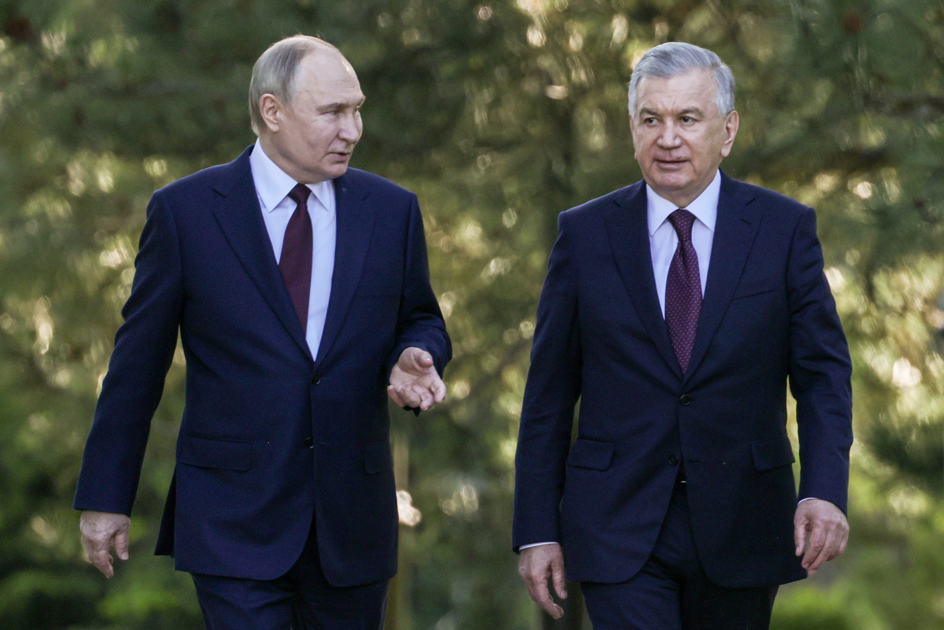 В ходе визита Путина в Узбекистан обсуждались самые серьёзные вопросы