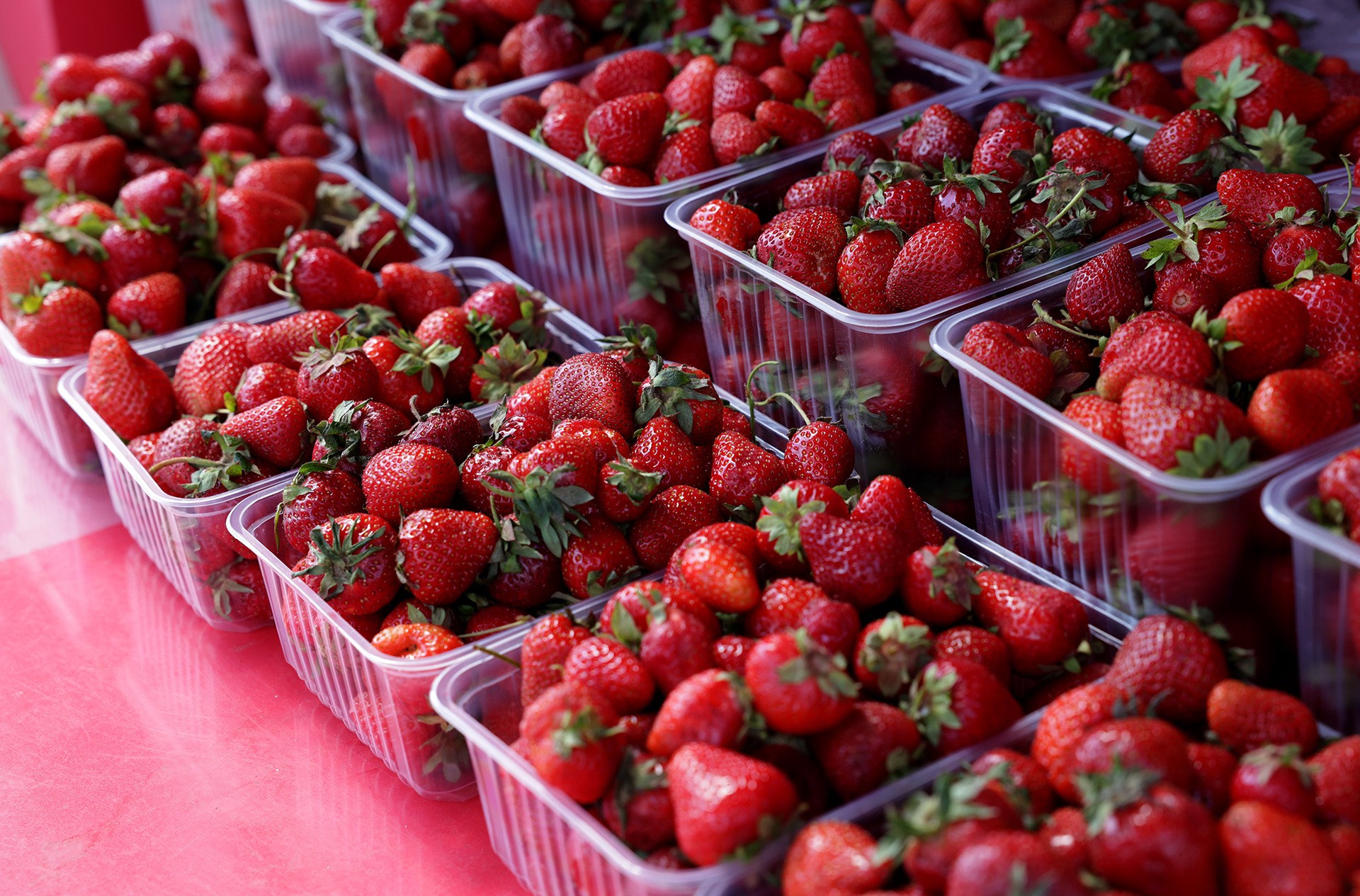 Стало известно о скрытой опасности клубники