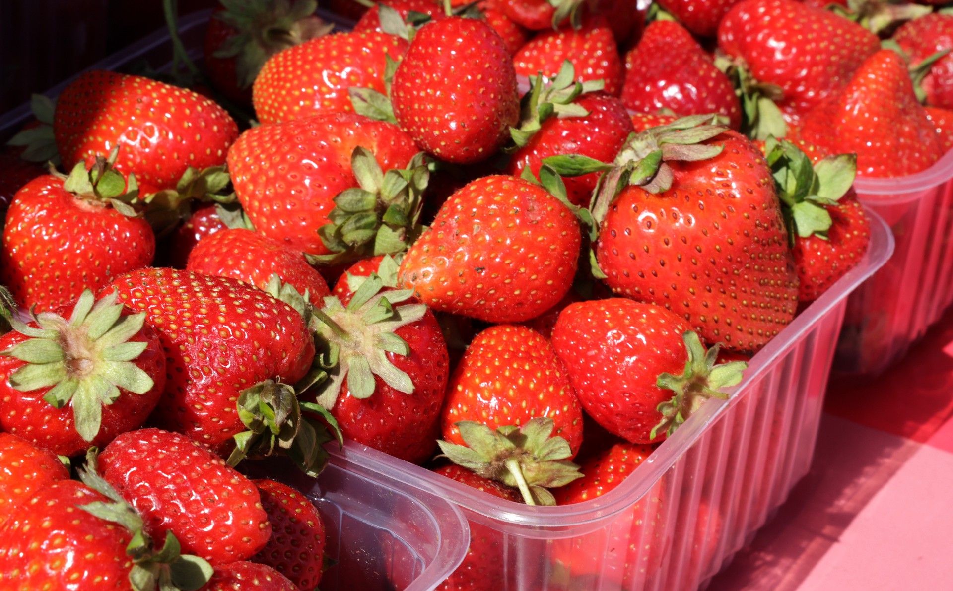 Клубника и перец оказались опасны для человека