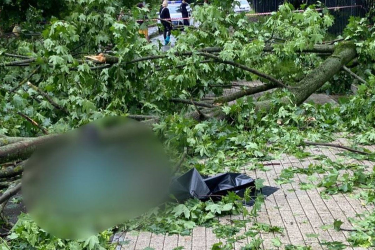 Мужчину насмерть придавило деревом во время урагана в Москве