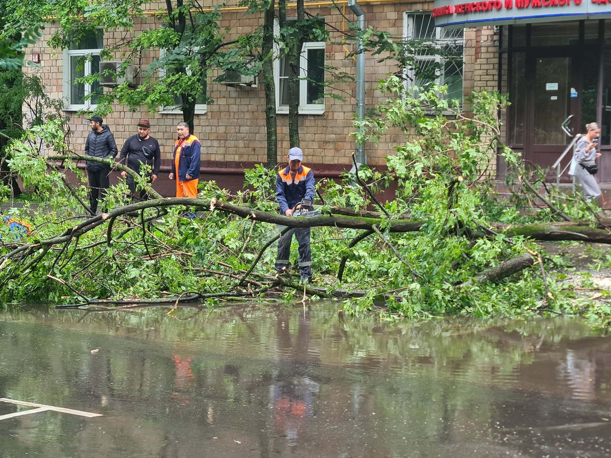 Число жертв урагана в Москве возросло до двух