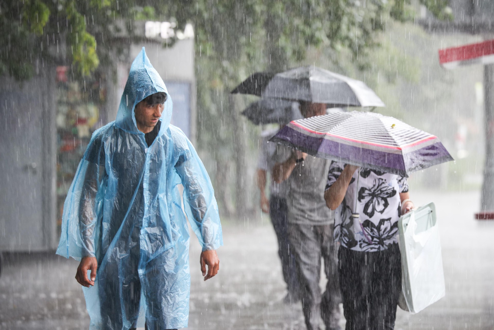 Метеоролог предупредила о похолодании и дождях с грозами на текущей неделе в Москве