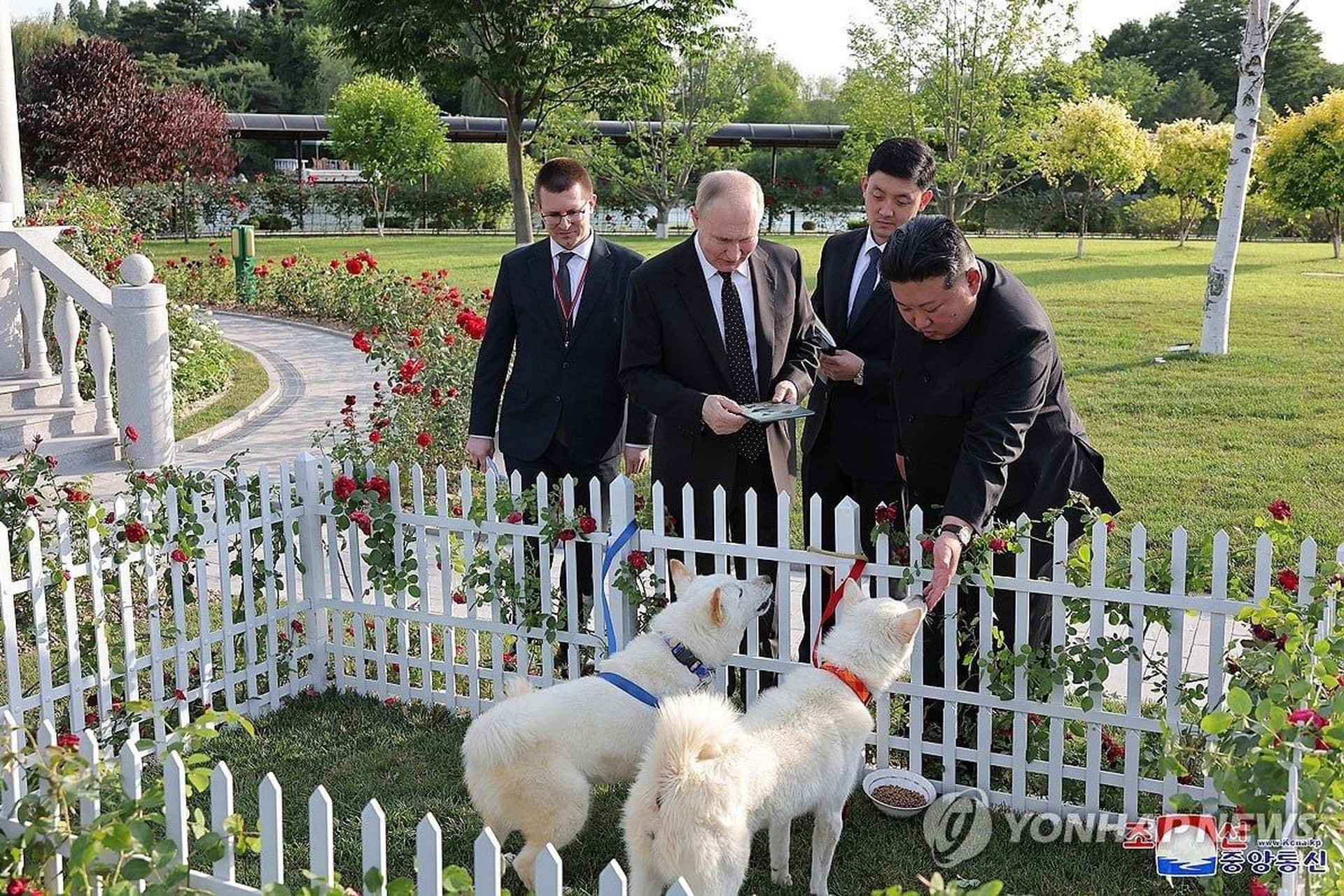 Ким Чен Ын подарил президенту РФ двух собак национальной охотничьей породы пхунсан