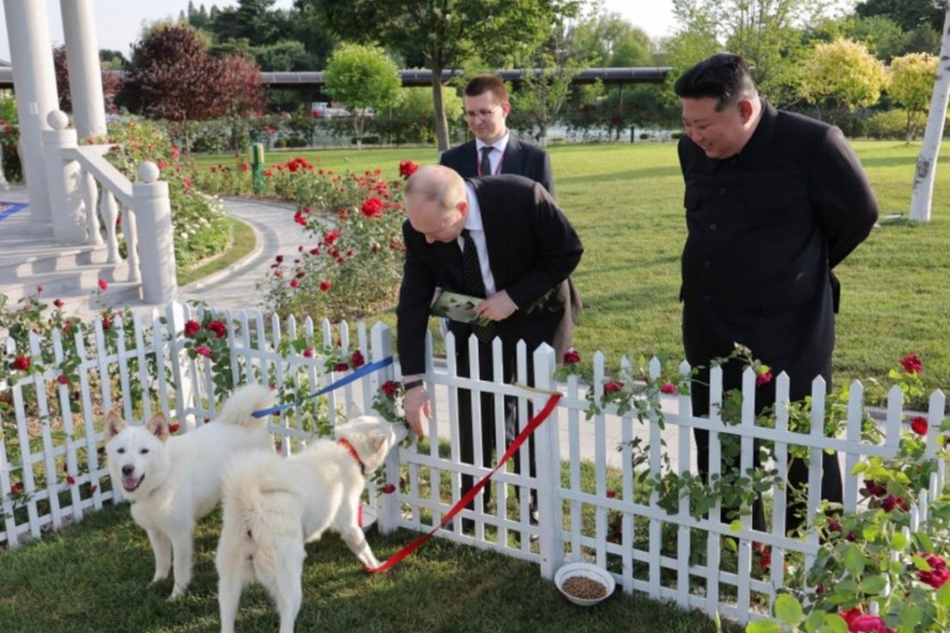 Песков: Собаки, подаренные Путину Ким Чен Ыном, адаптируются в Москве