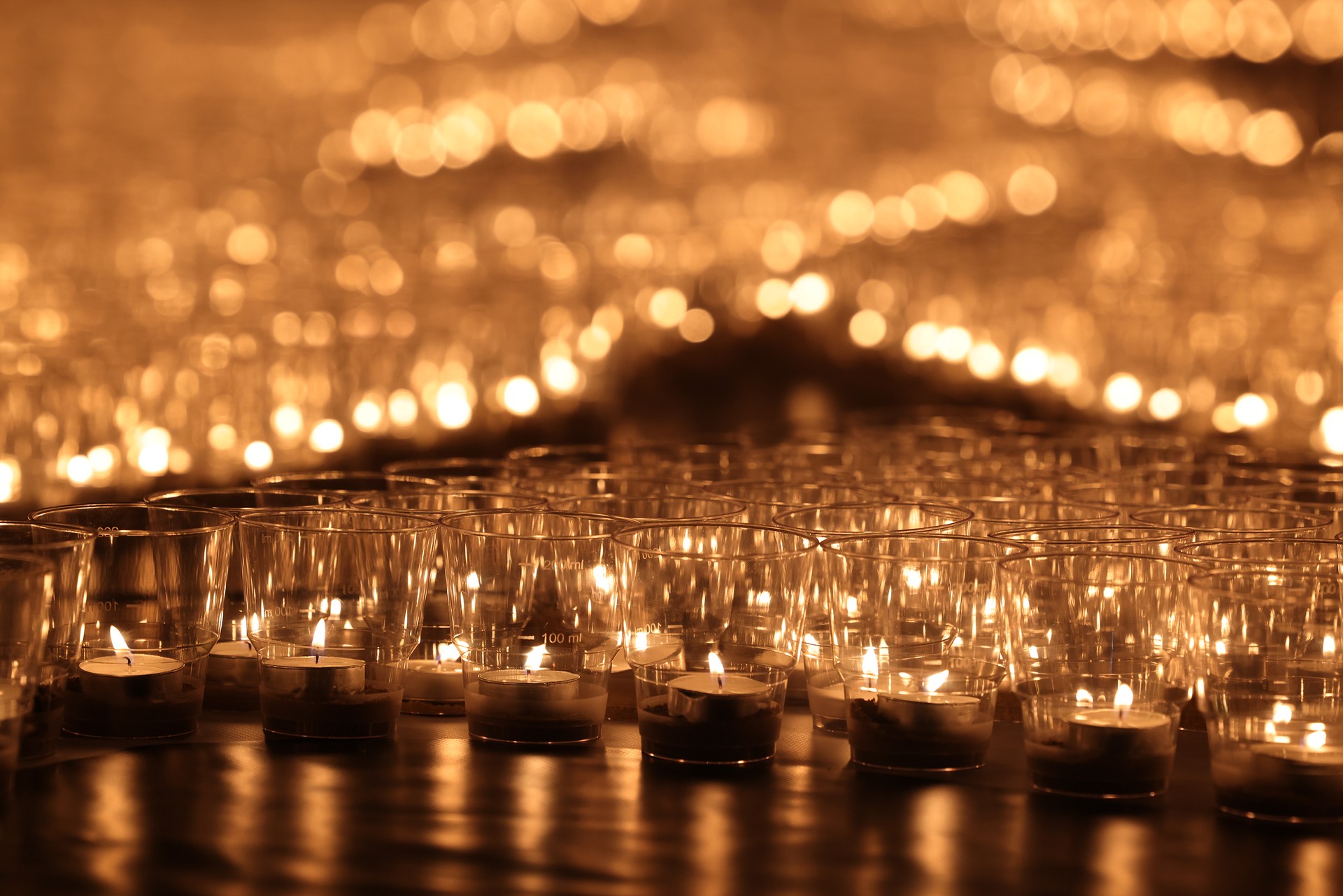 Троллейбусы в российском регионе начнут носить человеческие имена