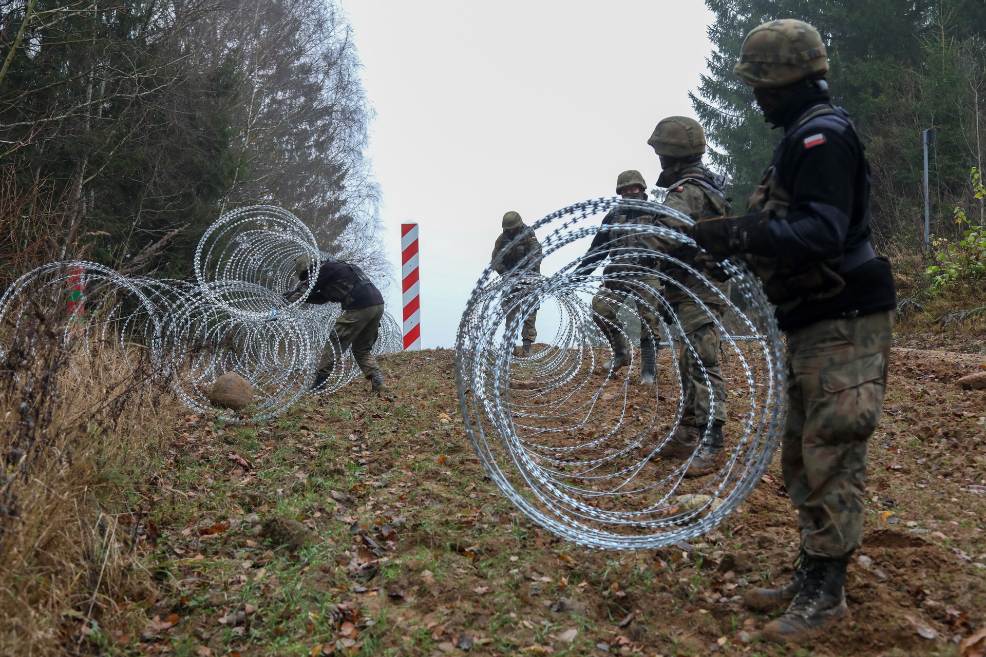 О стене плачут: зачем Польше и Прибалтике «линия обороны» от России