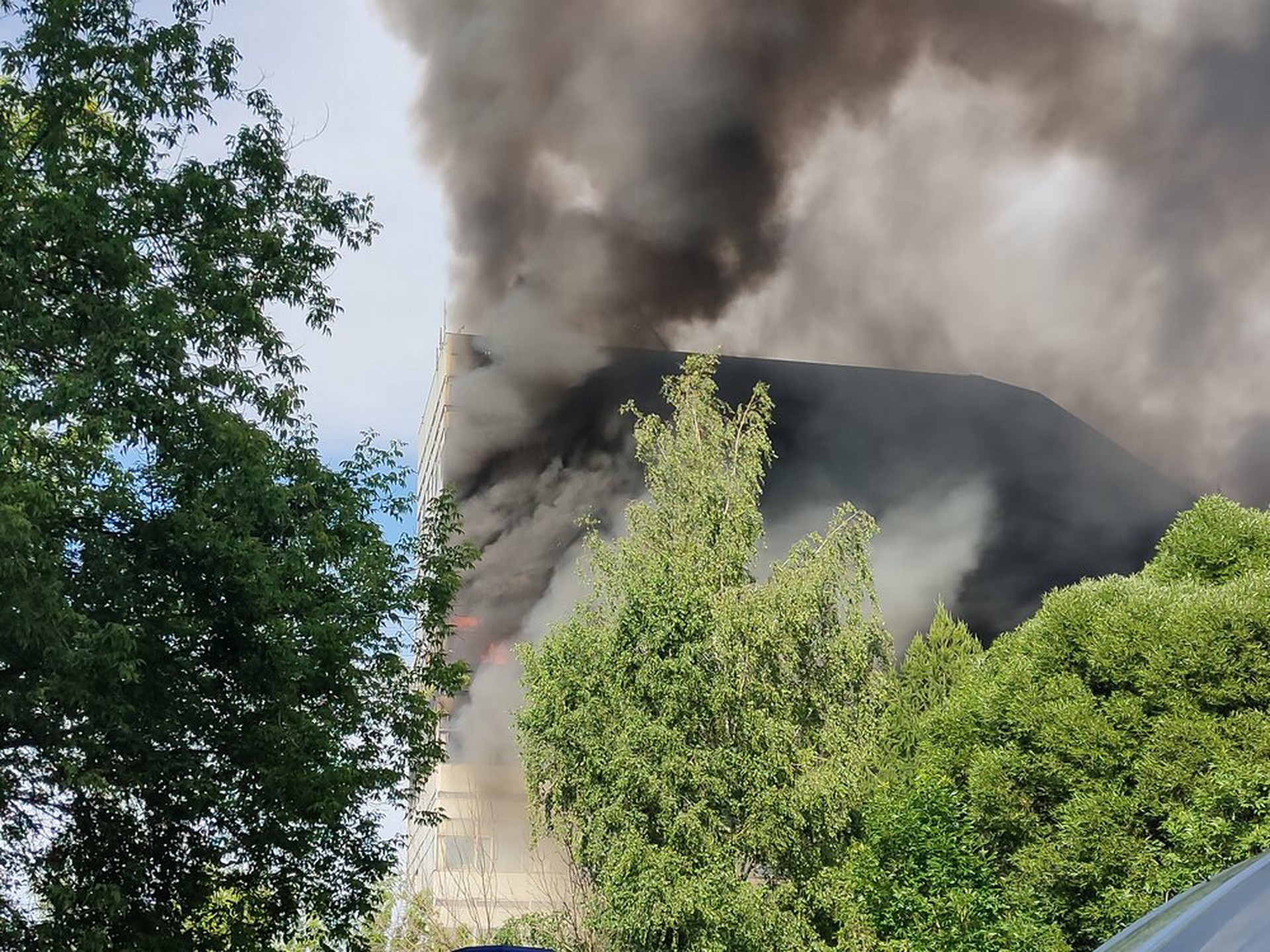Задержана собственница здания во Фрязине, в котором произошёл пожар