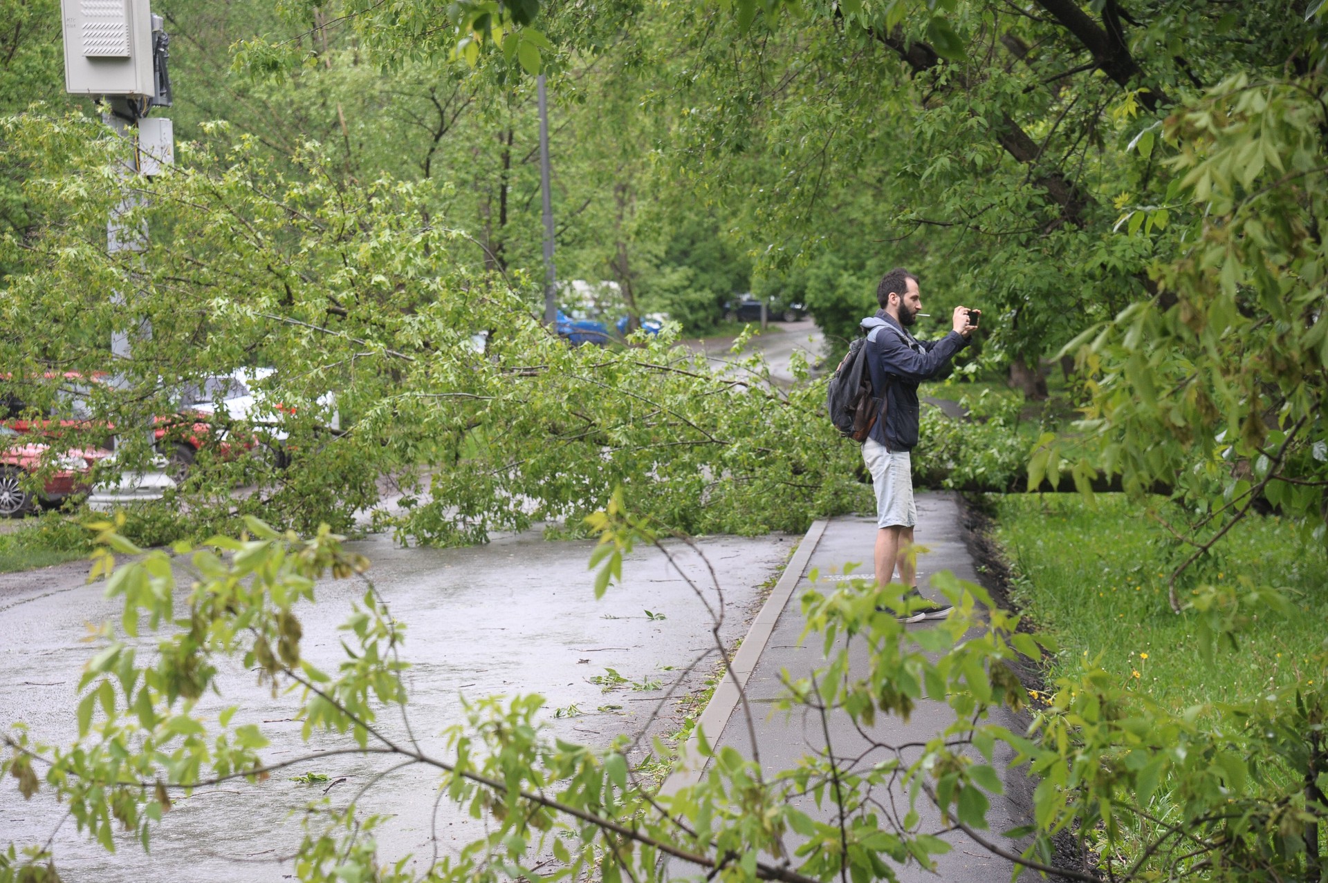 Синоптик предупредила москвичей о возможности сильного урагана в пятницу
