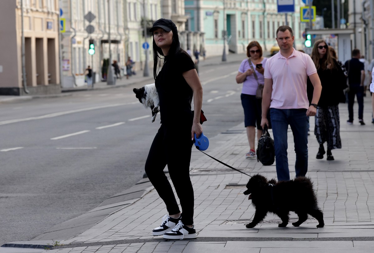 Россиянам рассказали, как защитить лапы и кожу собаки в жару