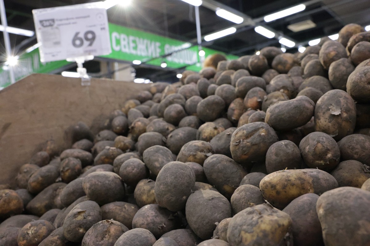 Стало известно, почему картофель в магазинах мельчает и дорожает