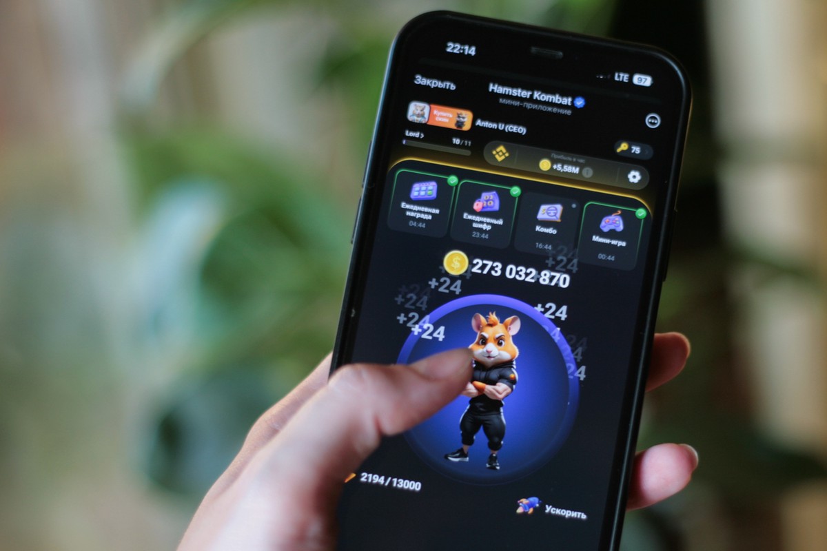 Комбо-карты в игре Hamster Kombat («Хомяк») на 21–22 августа: как получить 5 млн монет