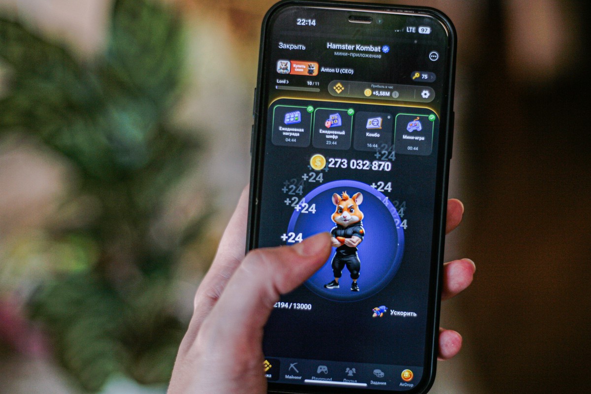Комбо-карты в игре Hamster Kombat («Хомяк») на 16–17 сентября: как получить бонус в 5 млн монет