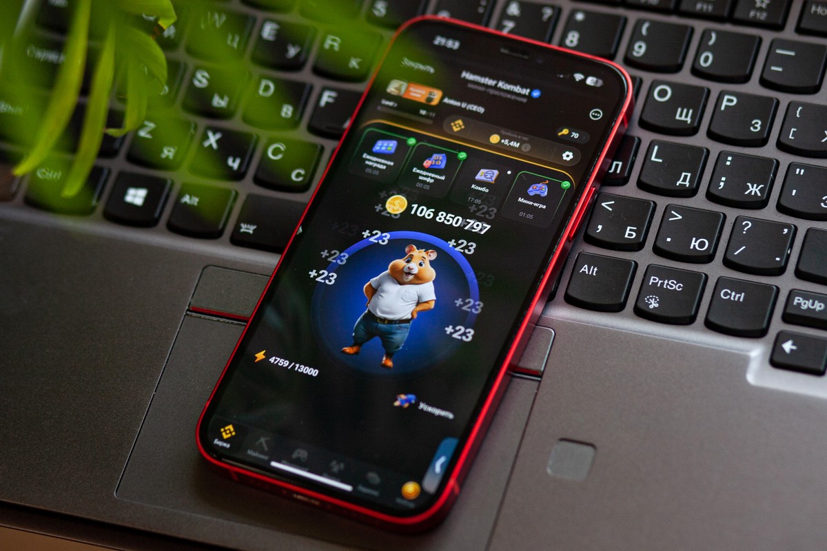 Комбо-карты в игре Hamster Kombat («Хомяк») на 18–19 сентября: как получить бонус в 5 млн монет