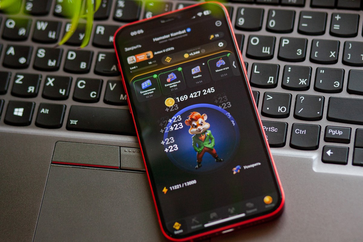 Комбо-карты в игре Hamster Kombat («Хомяк») на 19–20 сентября: как получить бонус в 5 млн монет