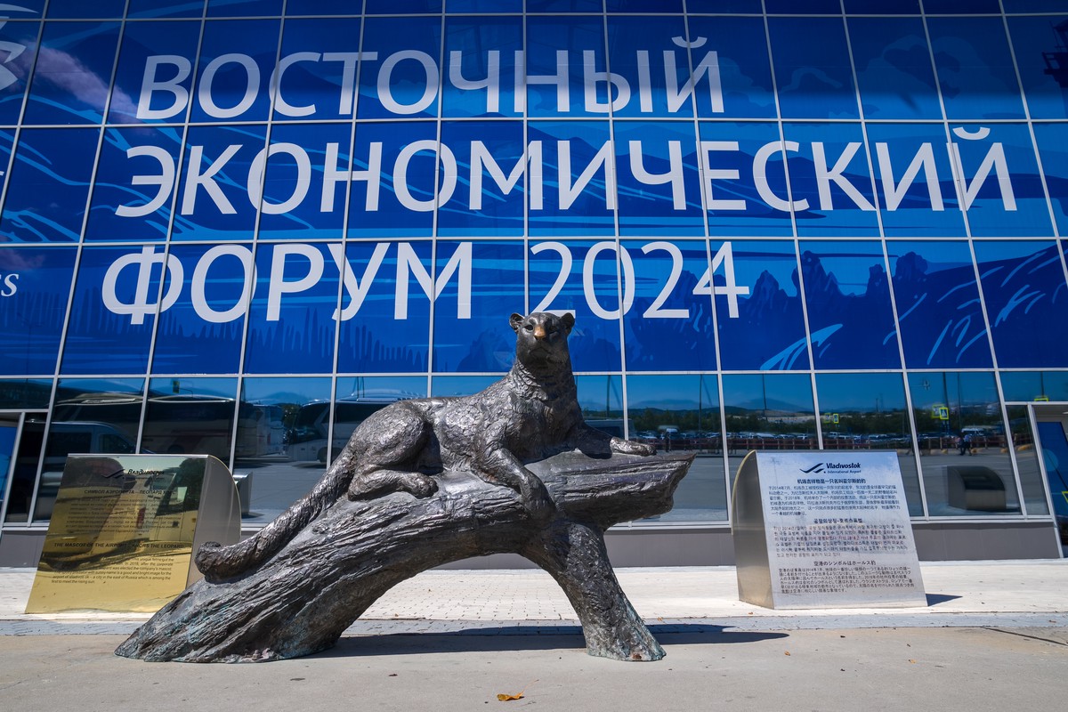 Восточный экономический форум начал работу на площадке ДВФУ во Владивостоке