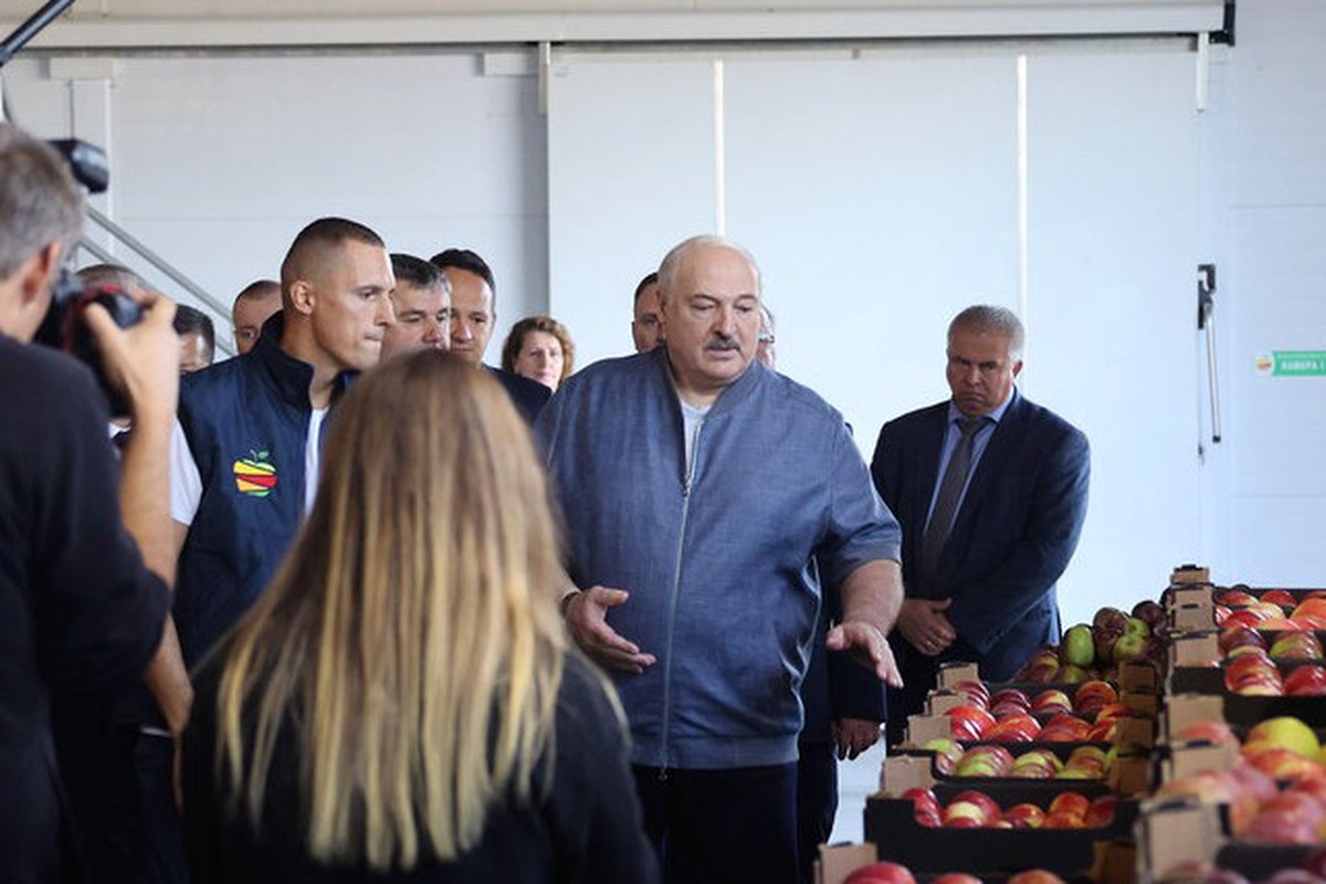 Лукашенко попросил не кланяться размахивающим яблоками полякам