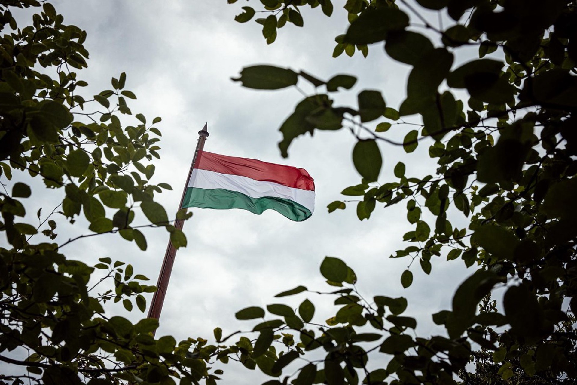 Рано радовались: Мадьяр продолжил линию Орбана