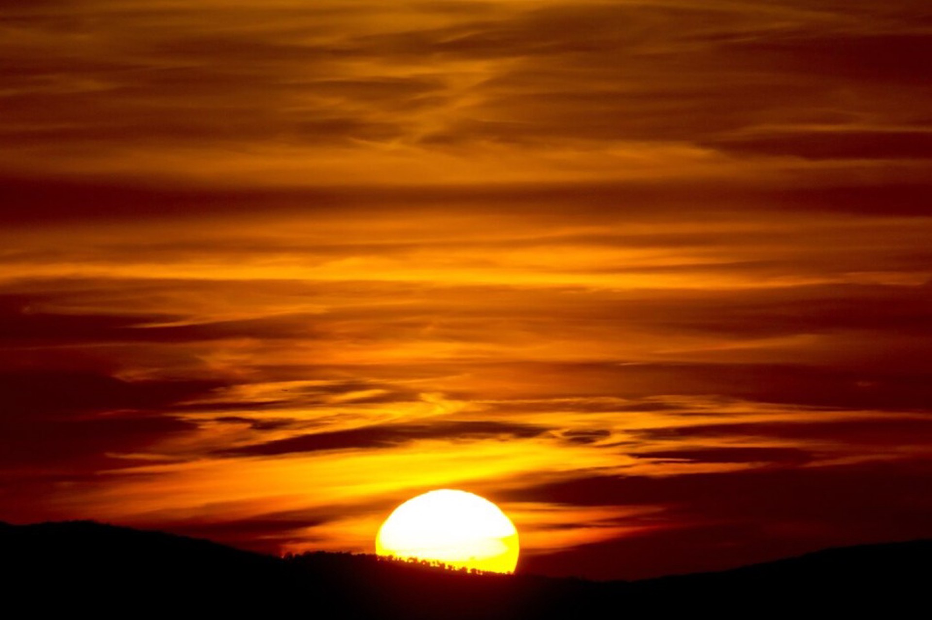 Названы серьезные последствия дефицита солнечного света для мозга