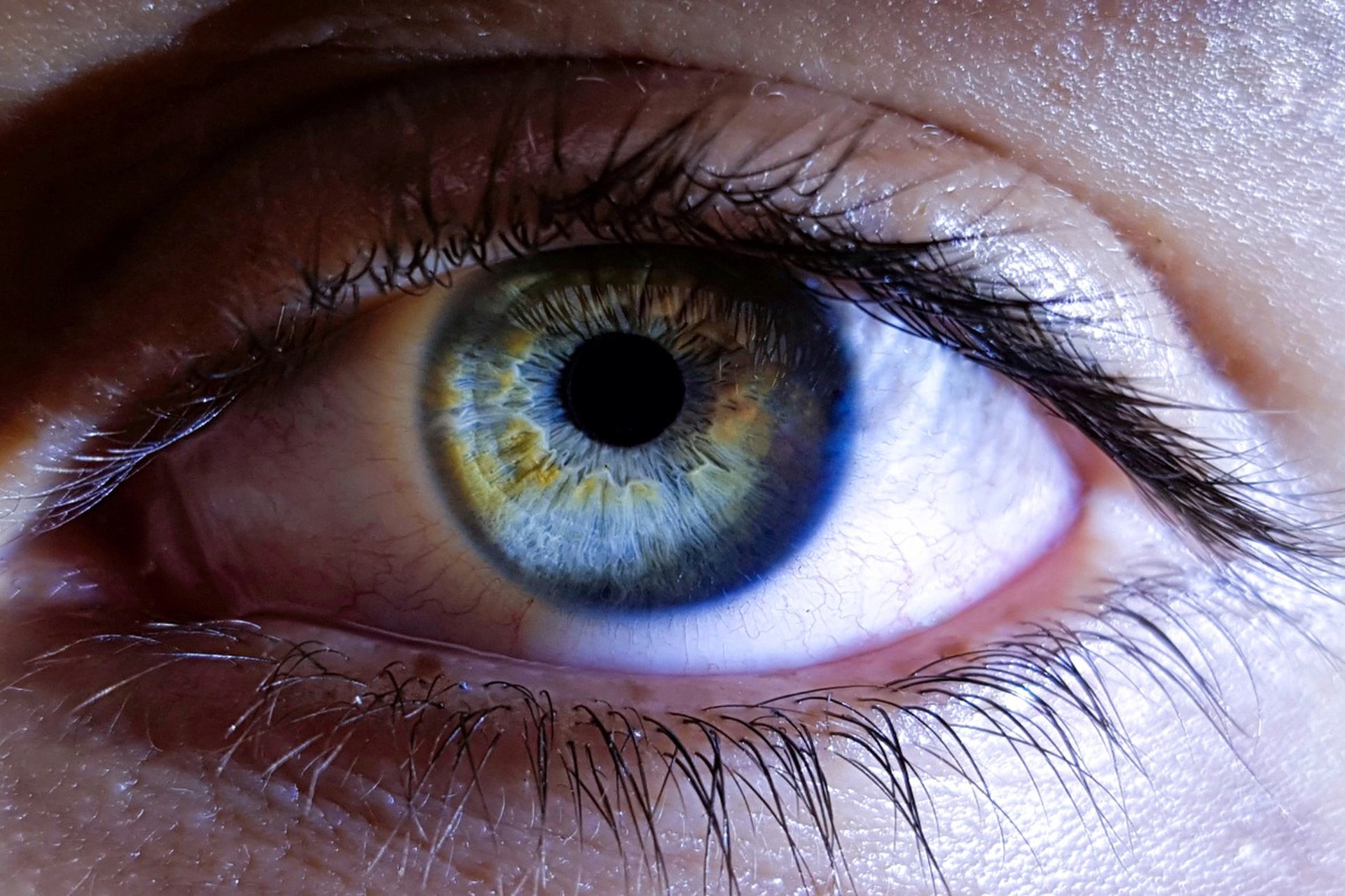 Слепому человеку впервые вернули зрение с помощью принтера