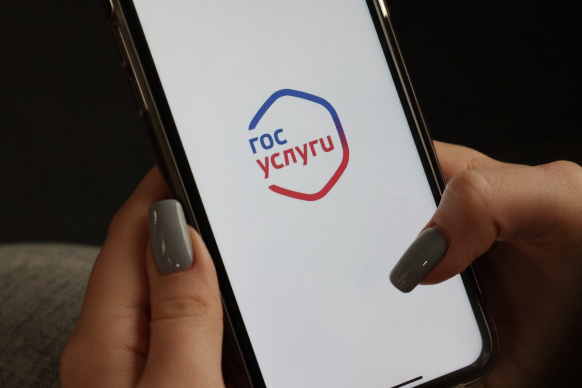 Почётный адвокат России опасается появления нового способа штрафовать водителей через «Госуслуги»