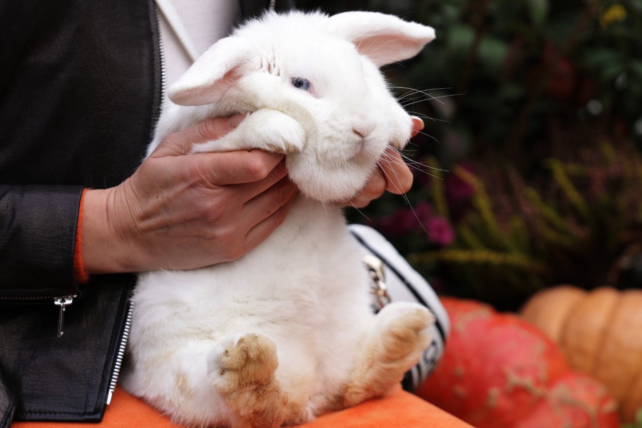 Китайский Новый год – 2026: кому Лошадь подарит деньги и большие перемены