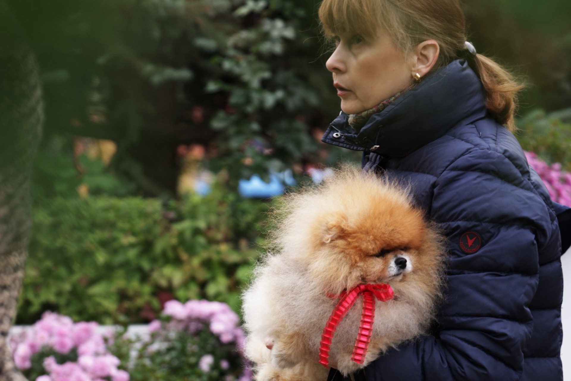 Названы признаки сезонной депрессии у домашних питомцев